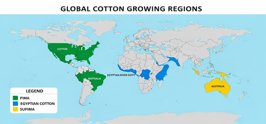 Premium cotton types compared: Pima, Egyptian, Supima and organic – 13thirtystudios