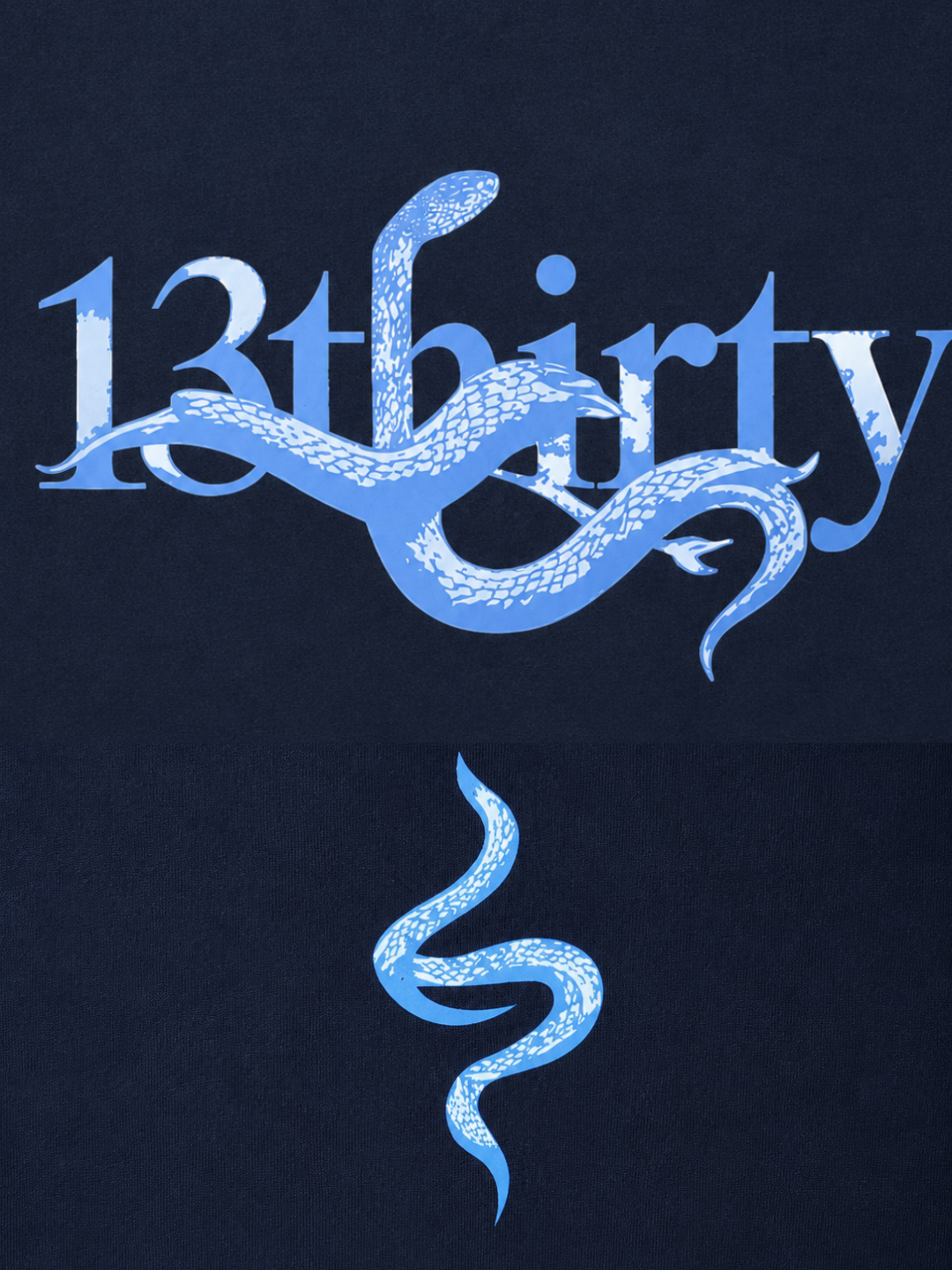 Navy snake graphic t-shirt The Unbothered by 13THIRTY Studios, 100% cotton, view 4